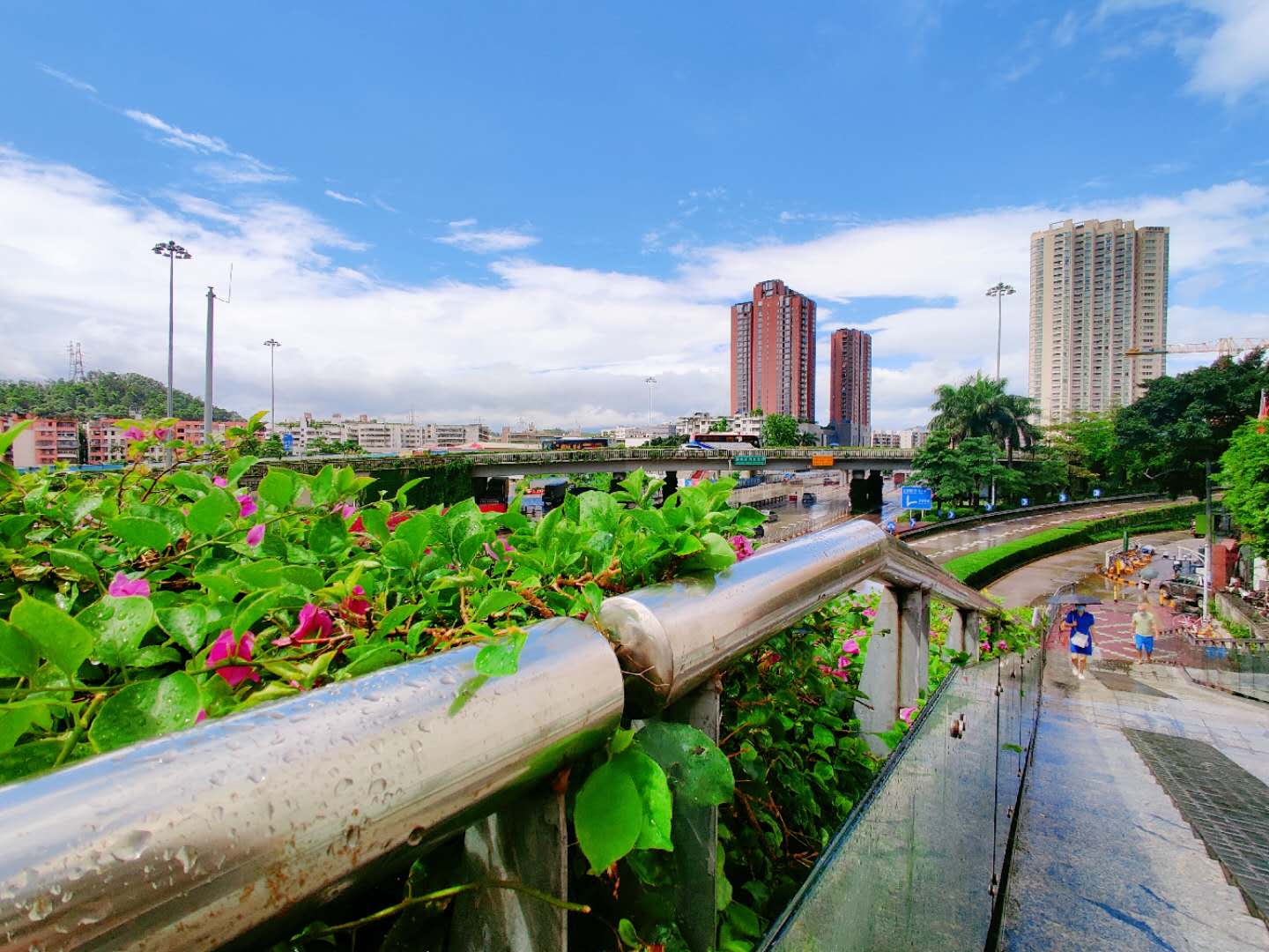 台风过去后 厦门向西旅行 奔向海边 今年夏天变得“热”了